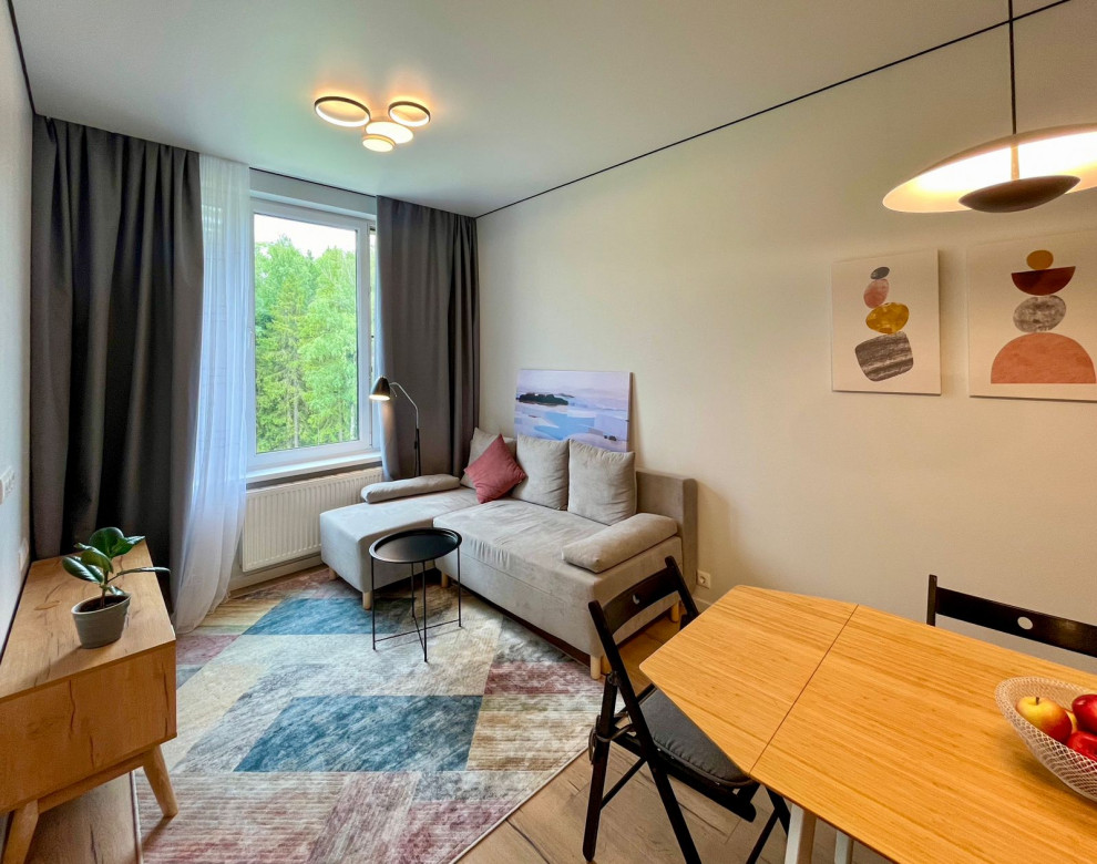 Проект студии 37м2, ЖК Серебрица