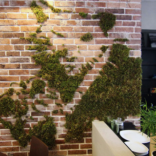 Александр Крапива