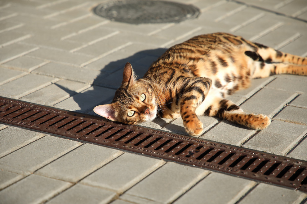 КП ЭкоПарк Ушаково