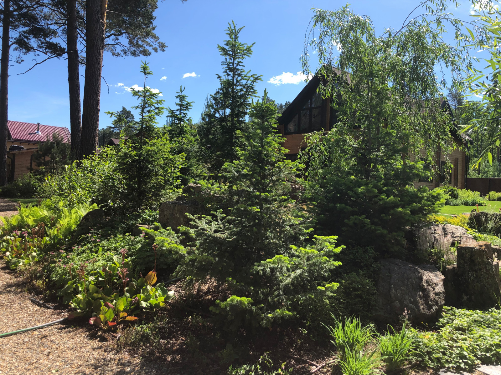 Усадьба на краю леса