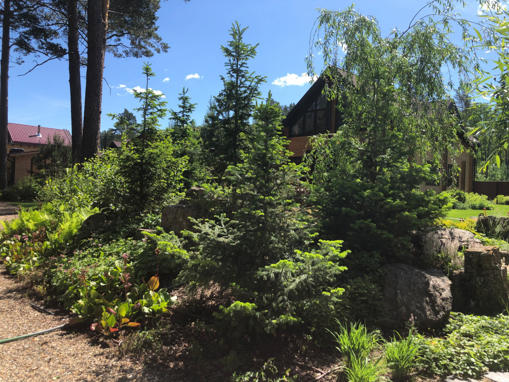 Усадьба на краю леса