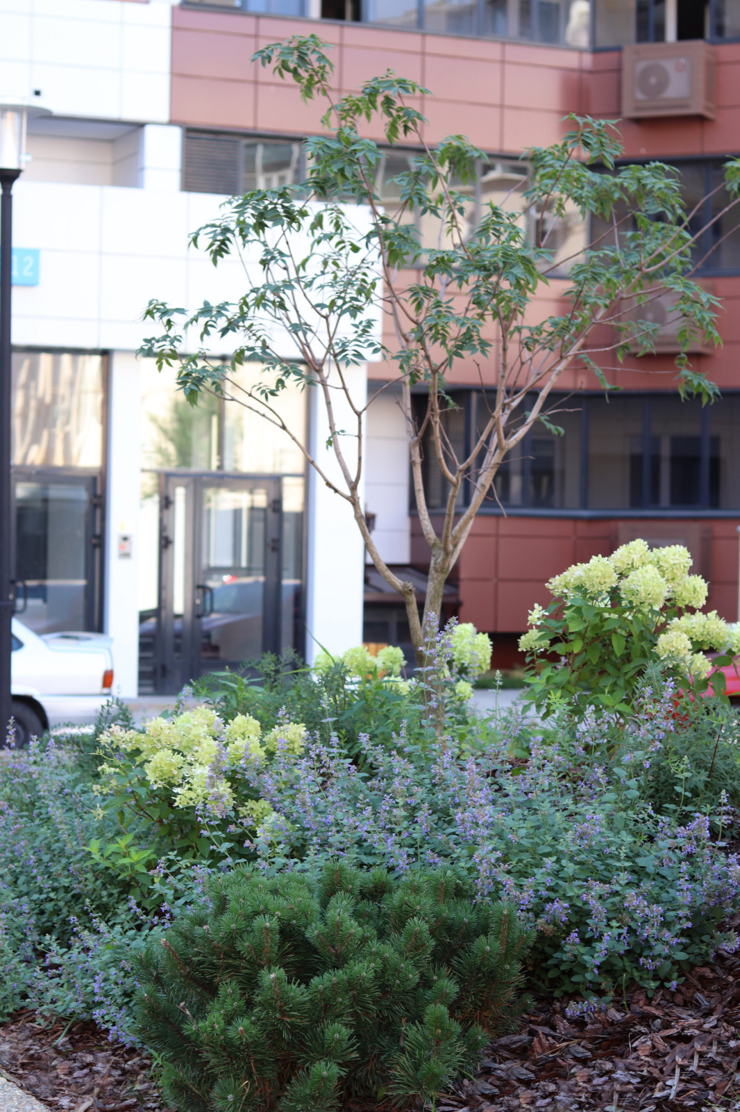 Обложка проекта: ЖК "Европейский"