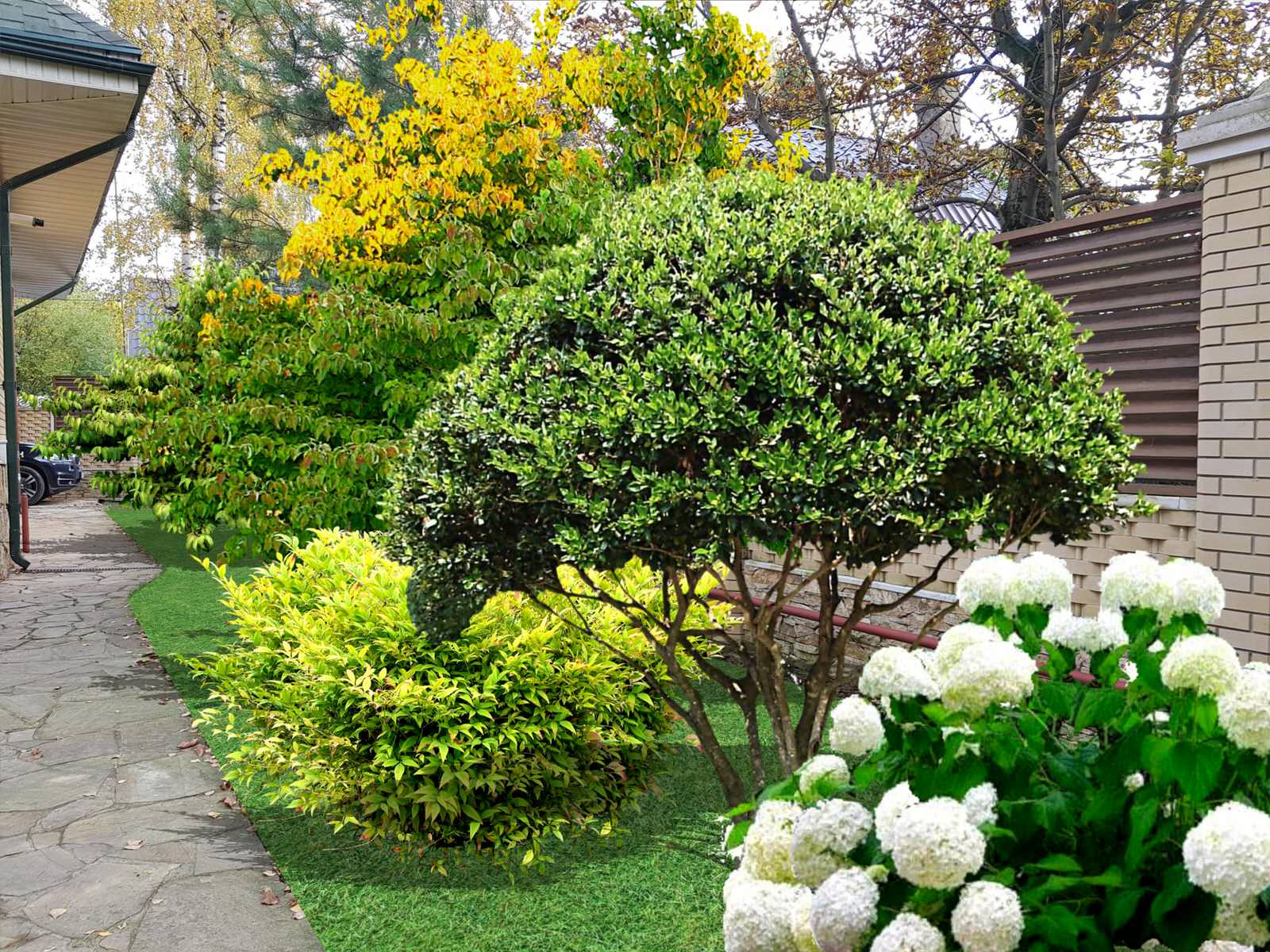 Визуализации