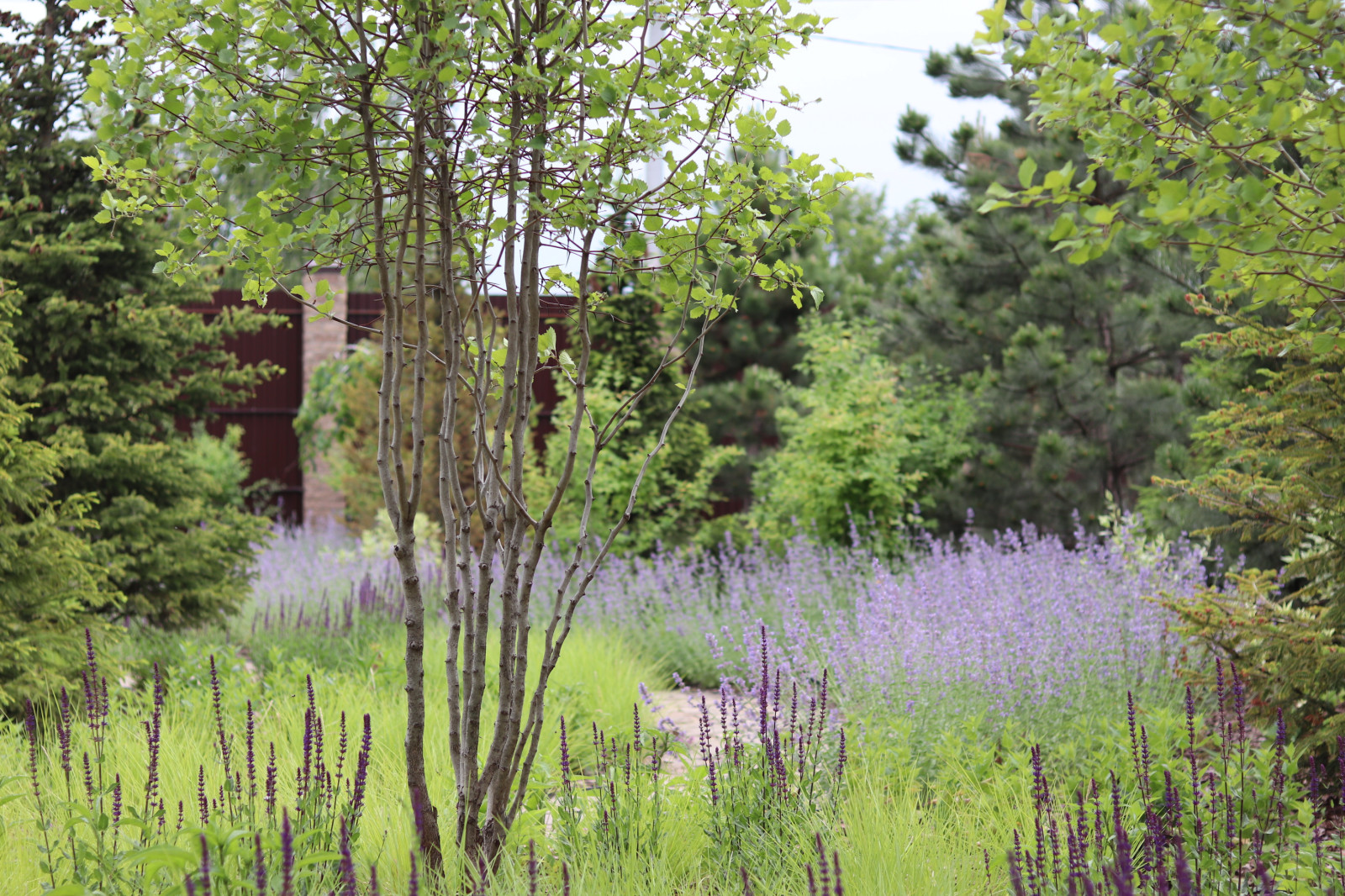 WB Парковая часть