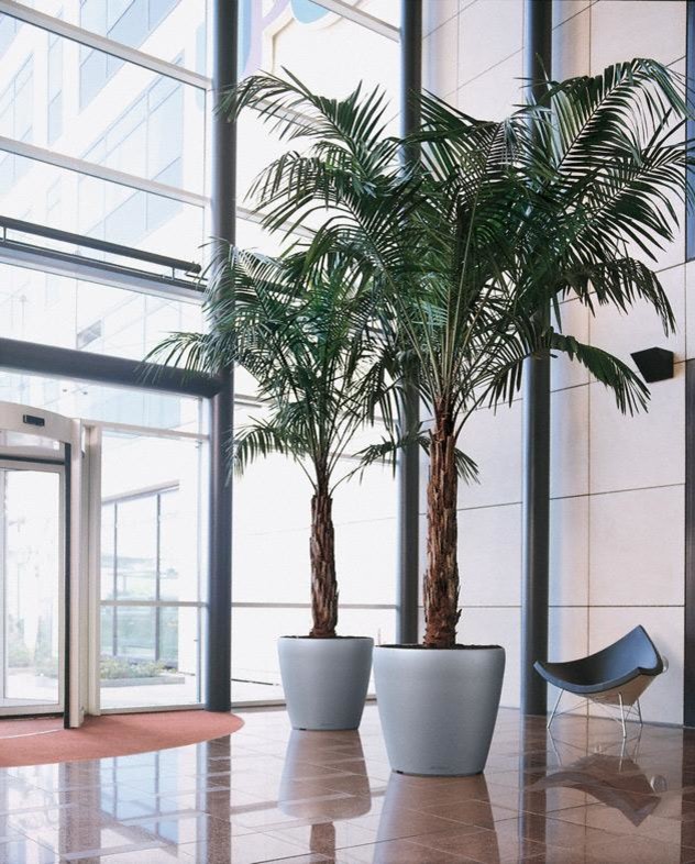 Неподвласные времени