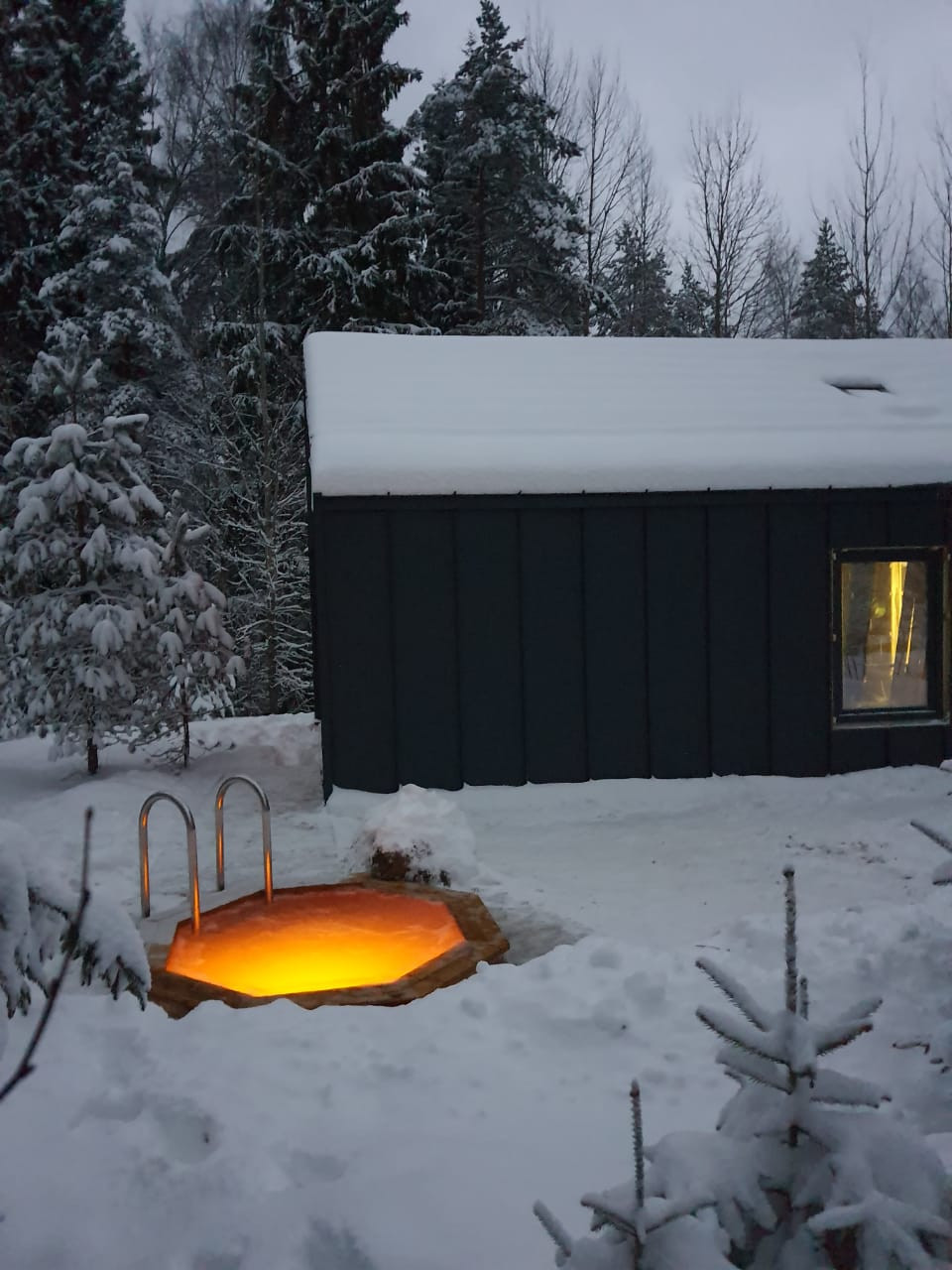 Обложка проекта: Купель на Валдае