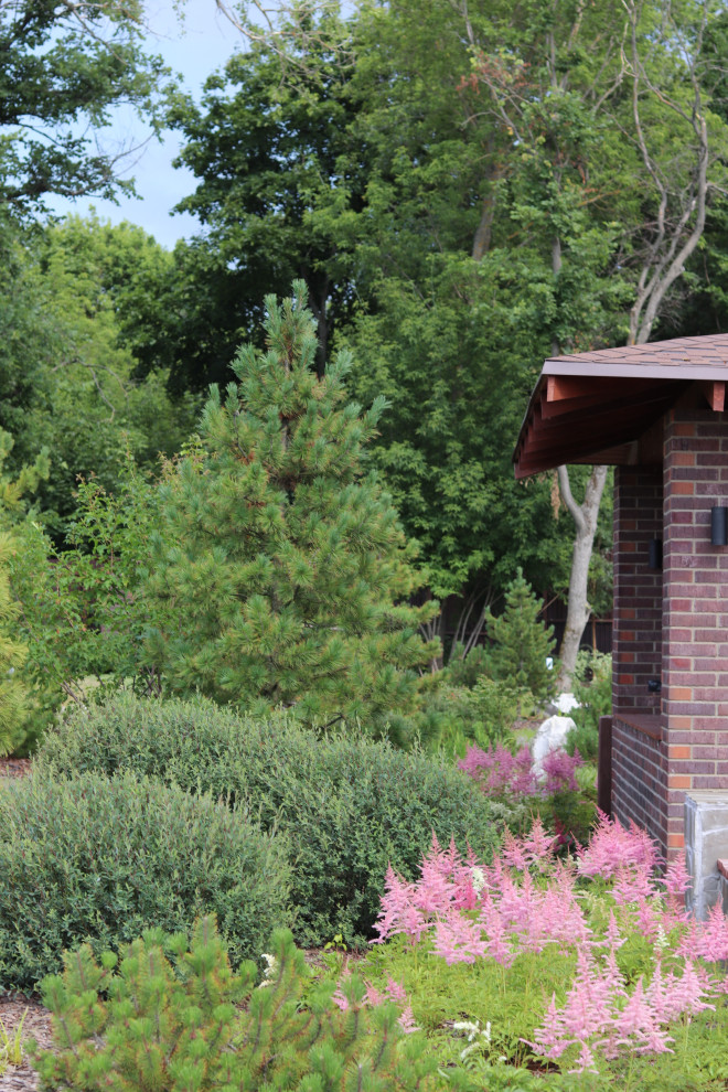 WB Берег пруда (май,июнь)