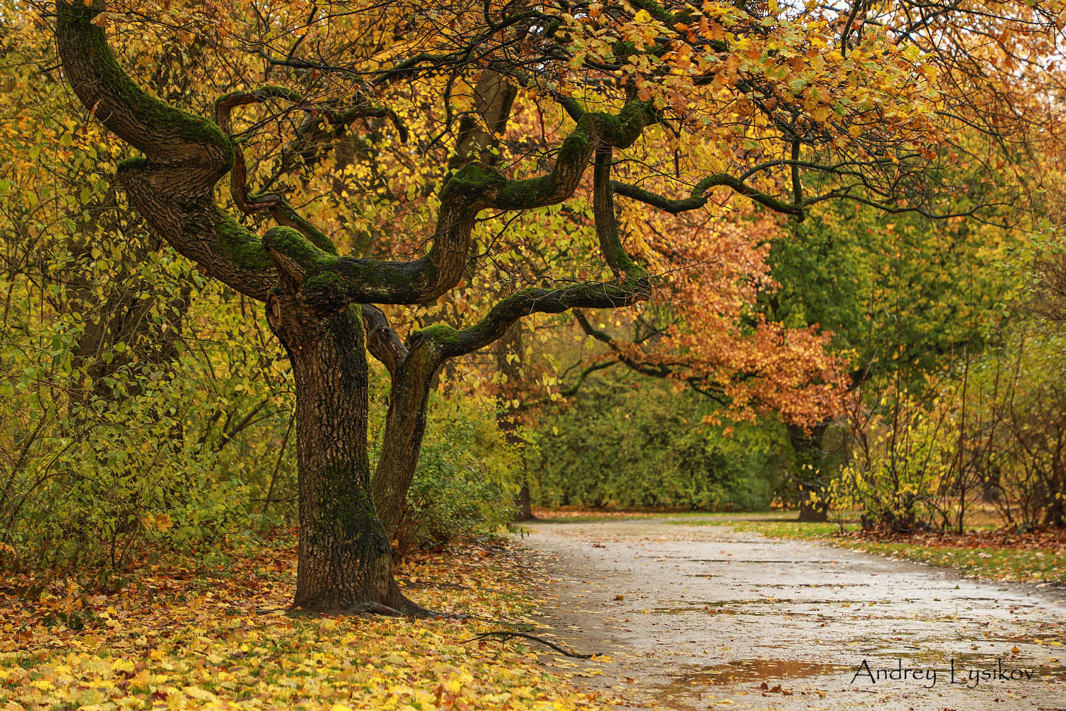 Мюнхен - парк Максимилиансанлаген (Maximiliansanlagen)