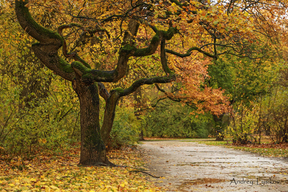 Мюнхен - парк Максимилиансанлаген (Maximiliansanlagen)