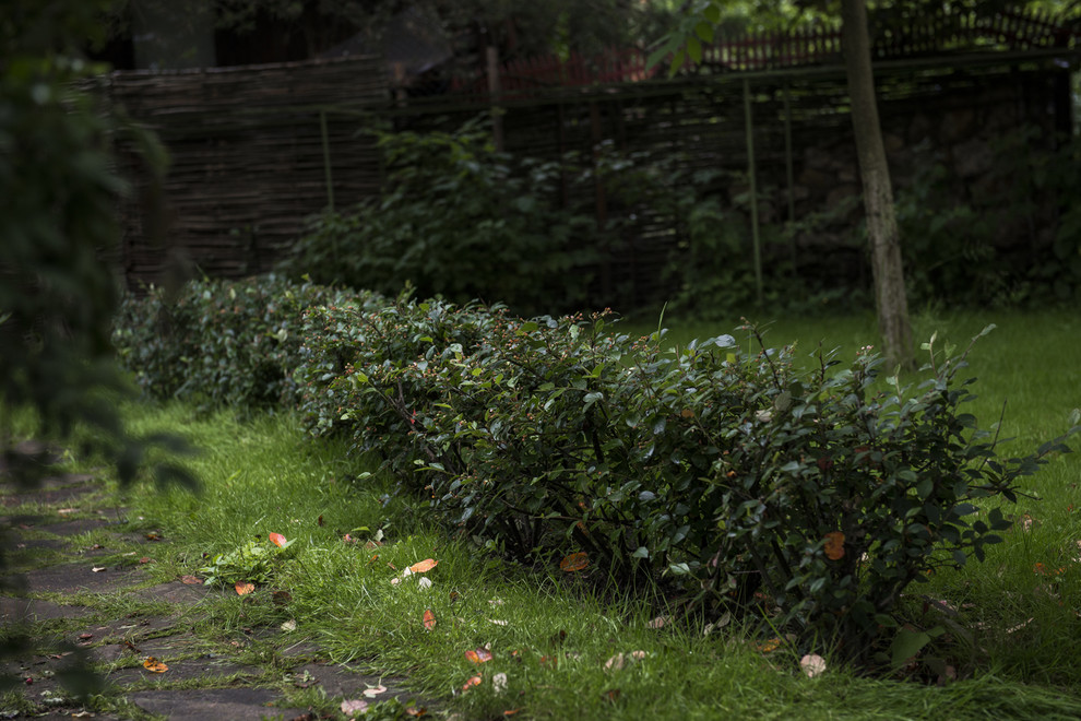 В гостях: Сад в идеальной форме... круга