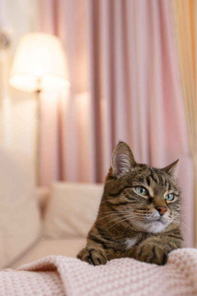 Дизайн квартиры на ул. Ульяна Ленина