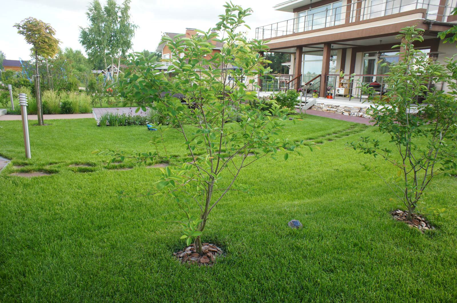 МОРЕСОЛНЦЕ