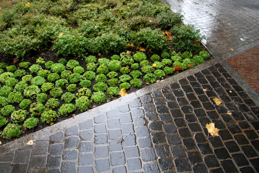 Мощеный двор