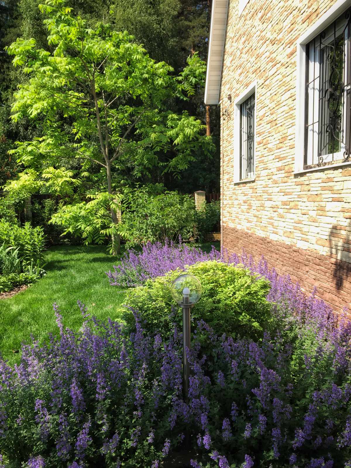 Обложка проекта: проект "Река"