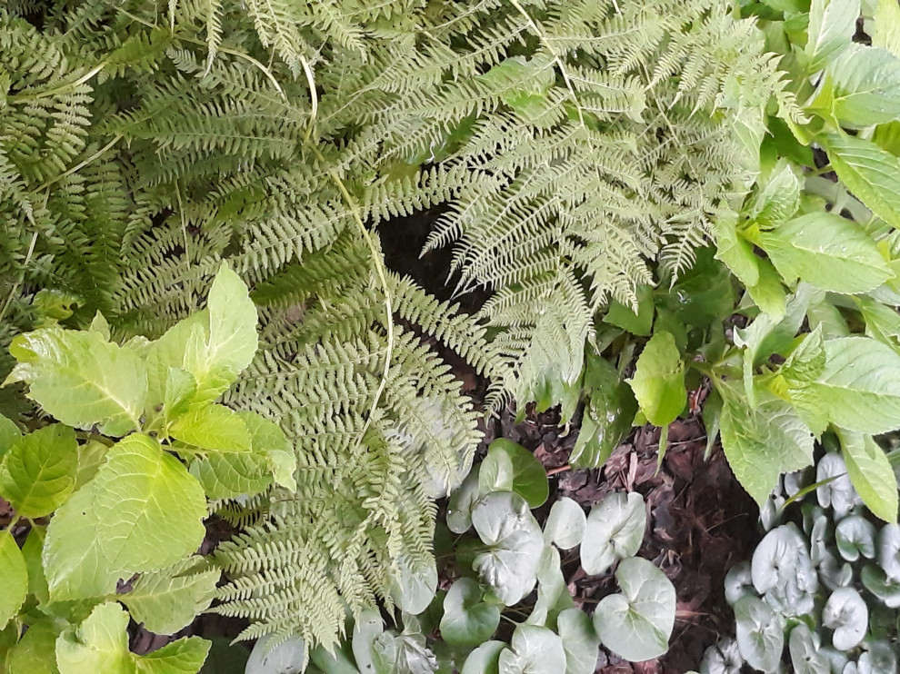 Палисадник с бетонными колодцами