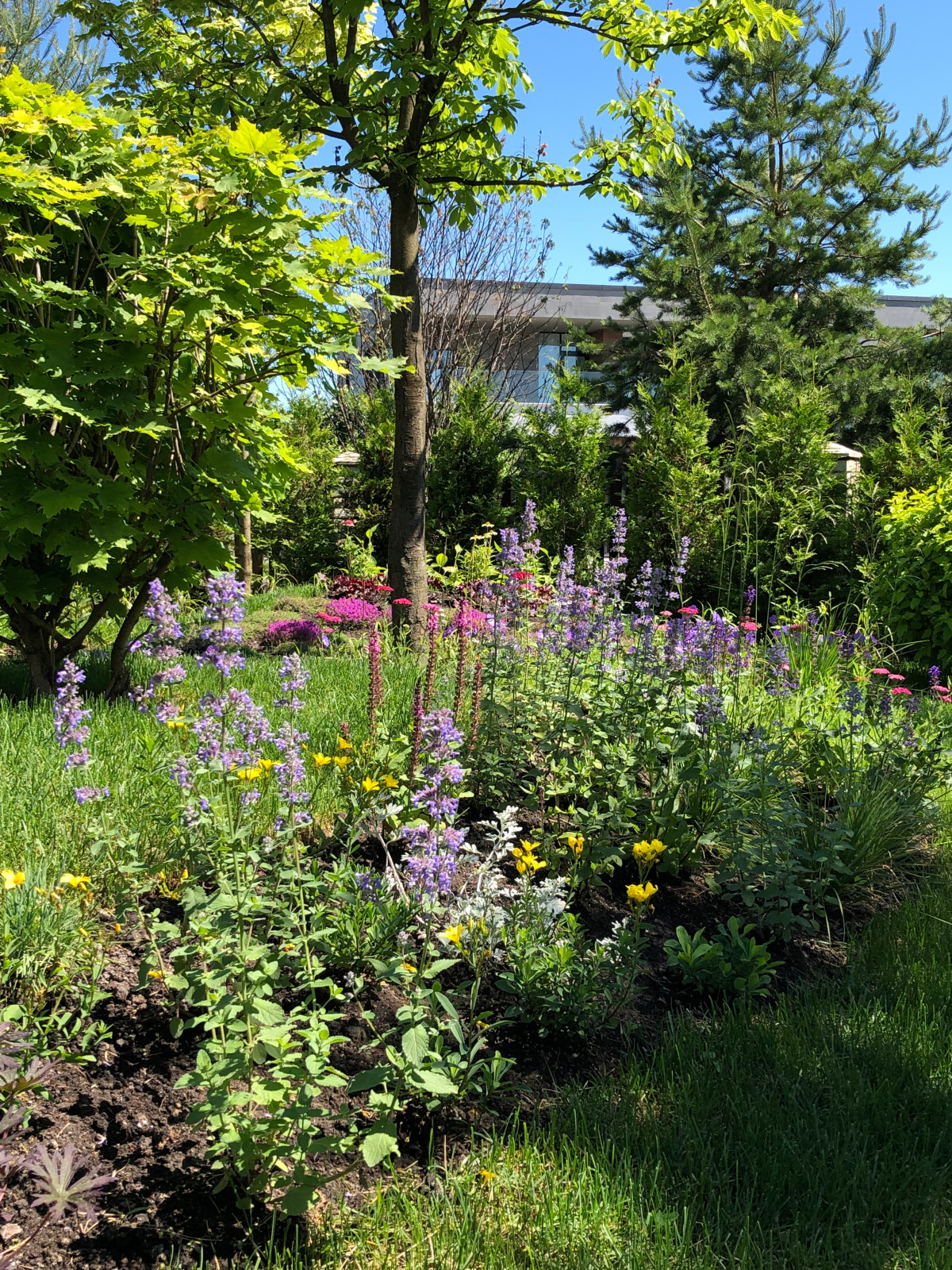 КП Пестово "Evergreen'