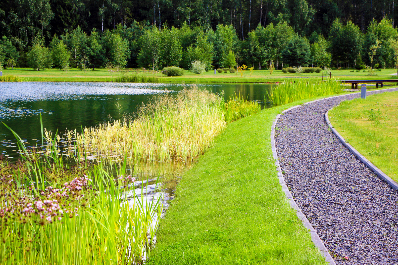 Харламово, 2010-2012 гг.