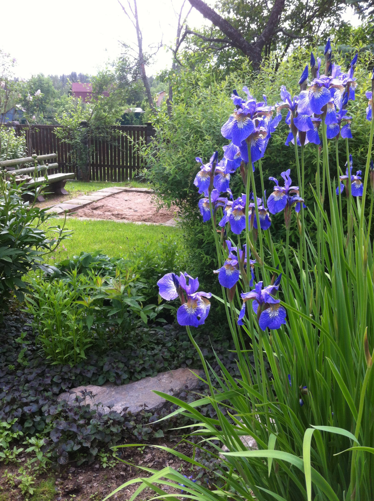 Усадебный семейный сад