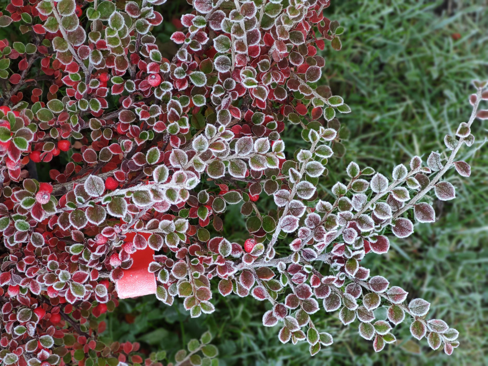 Обложка проекта: "Параллели"