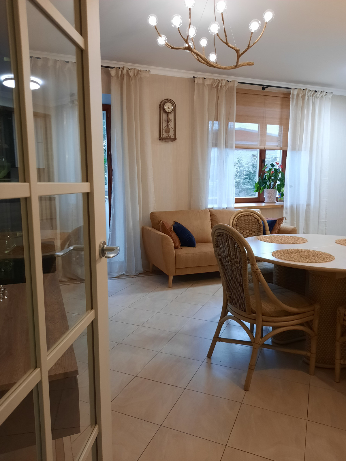 Обложка проекта: Ротанг для петербуржцев