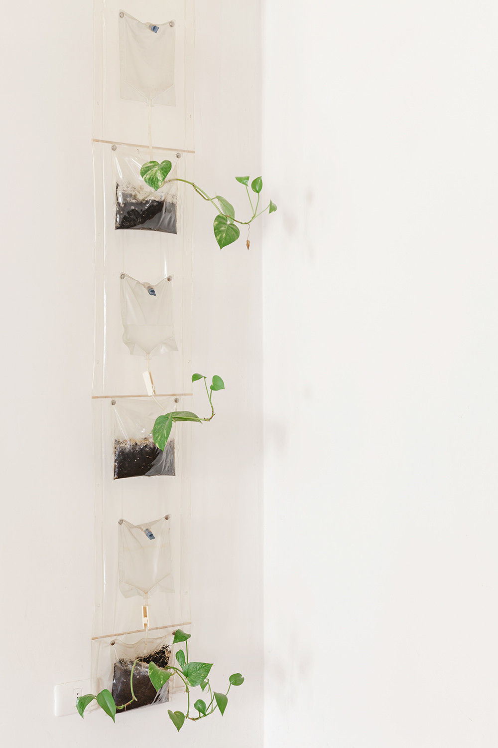 Houzz Италия: Жизнь в доме XIII века