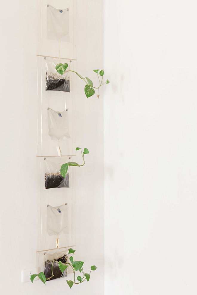 Houzz Италия: Жизнь в доме XIII века