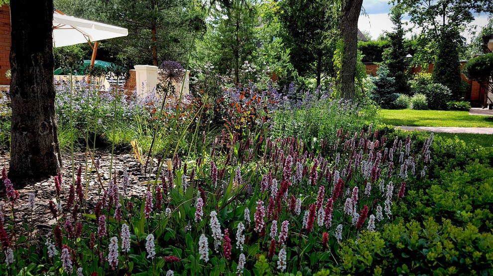 Сад с аурой