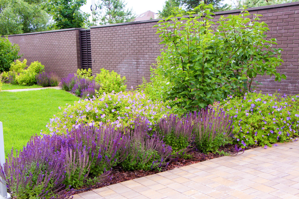 Петровское, 2018-2020 гг.