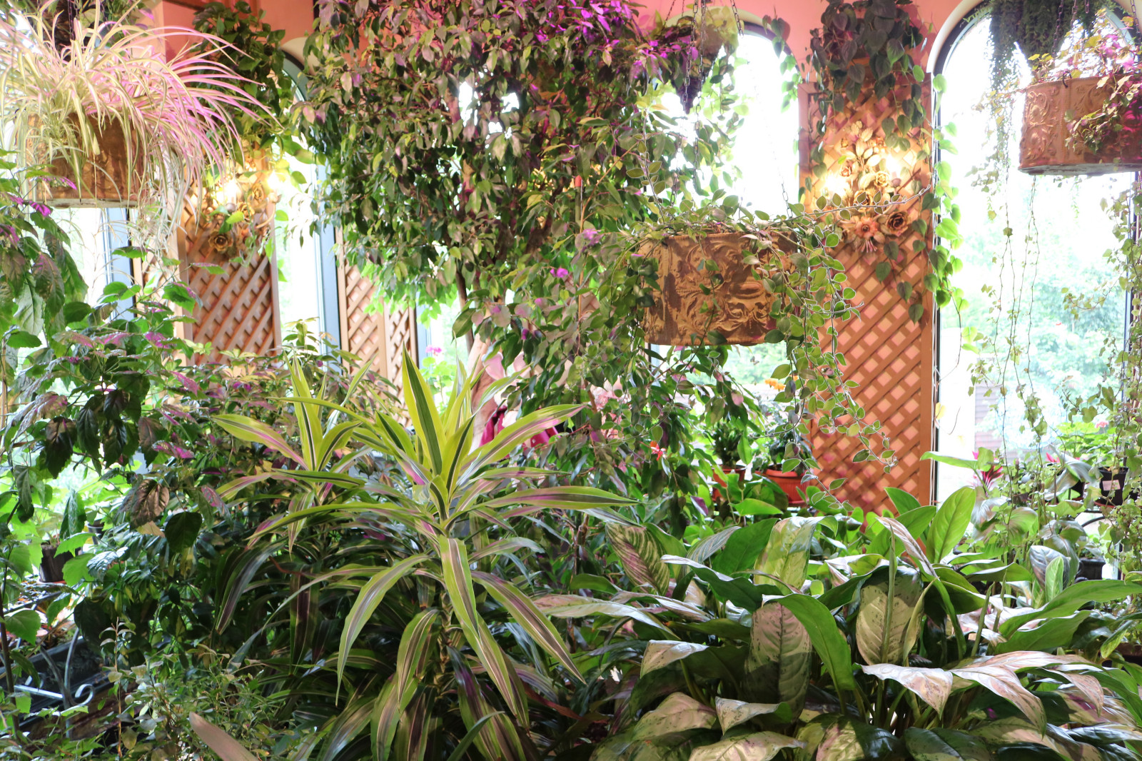 Обложка проекта: Зимние сады