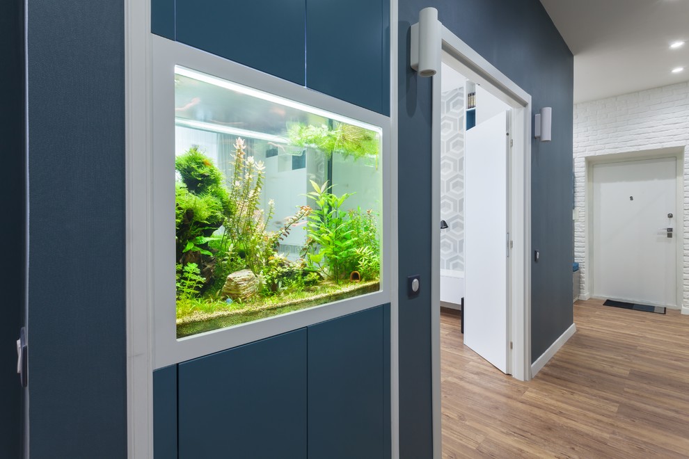 Тайный фэншуй: 5 элементов в доме — что нужно про них знать