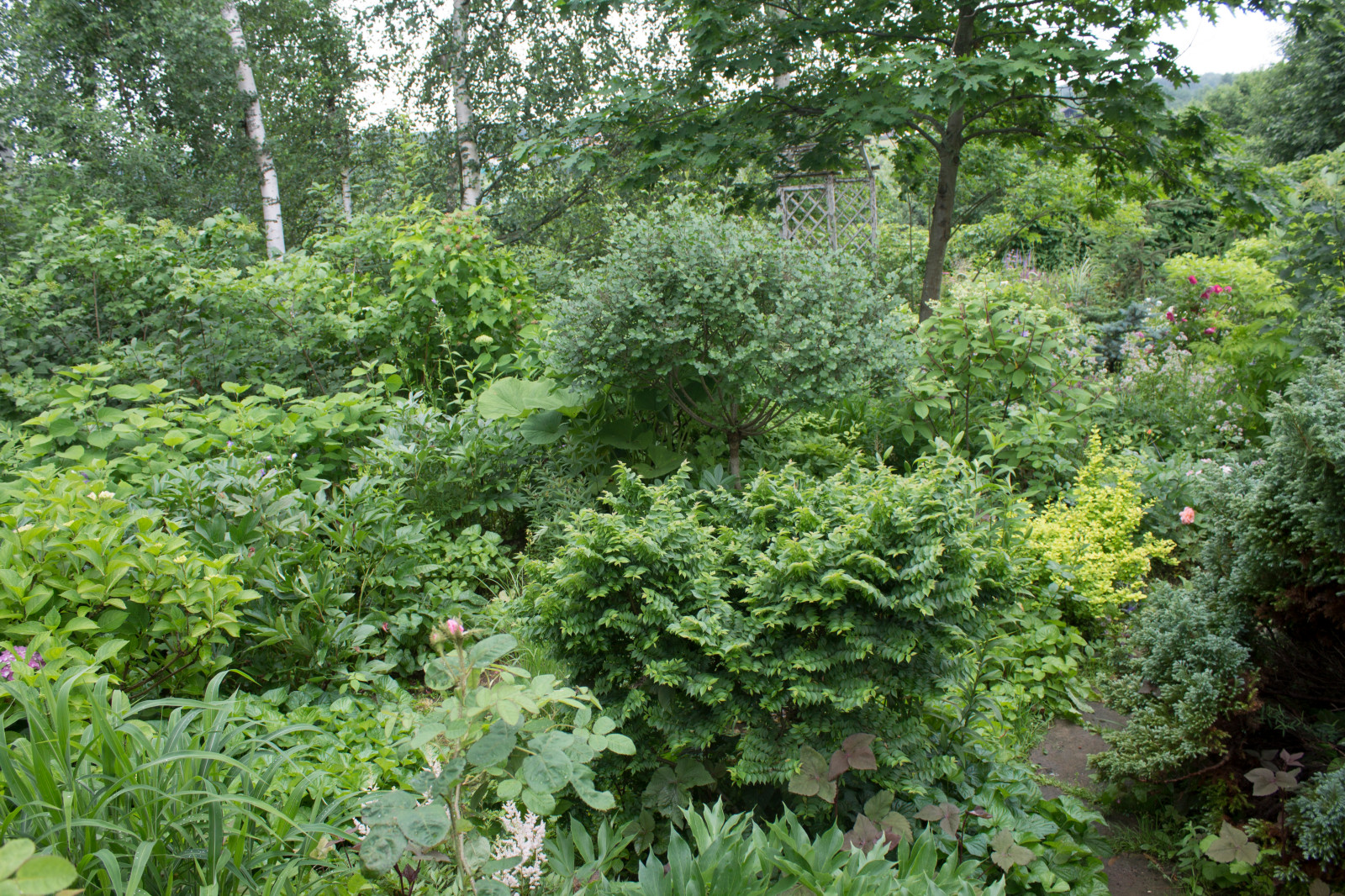 Сад  «Моя цветущая планета».