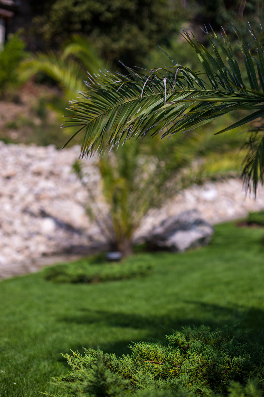 Ландшафтный Дизайн Олимпийский Сочи