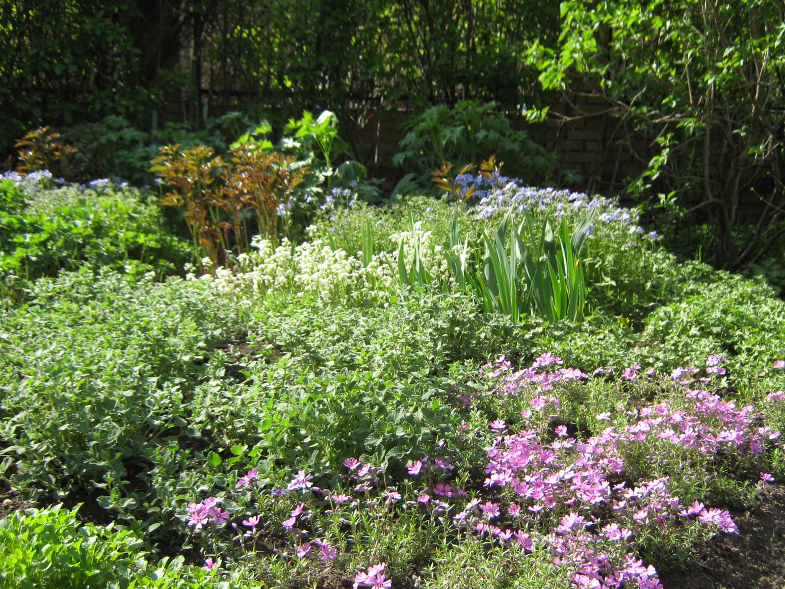 На берегу озера