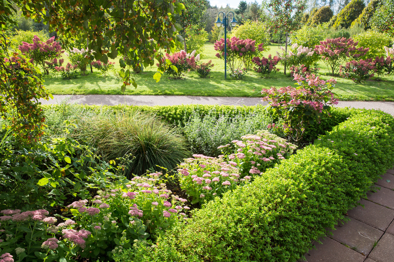 Парк в  Шаховском районе