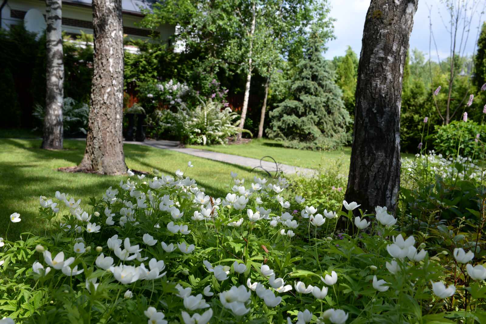 Новогорск 2021