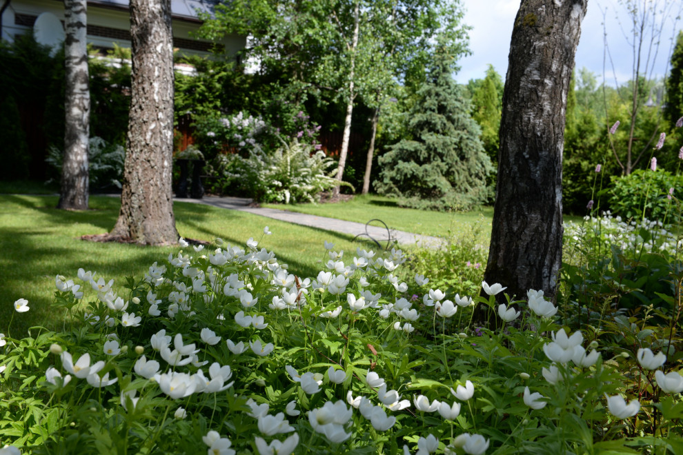 Новогорск 2021