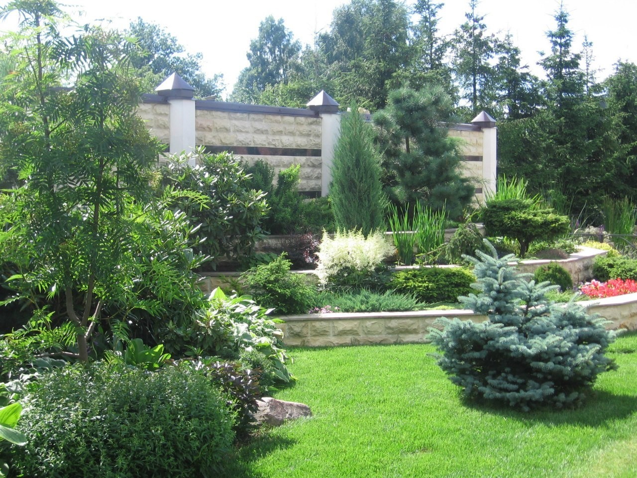 Участок в Парголово