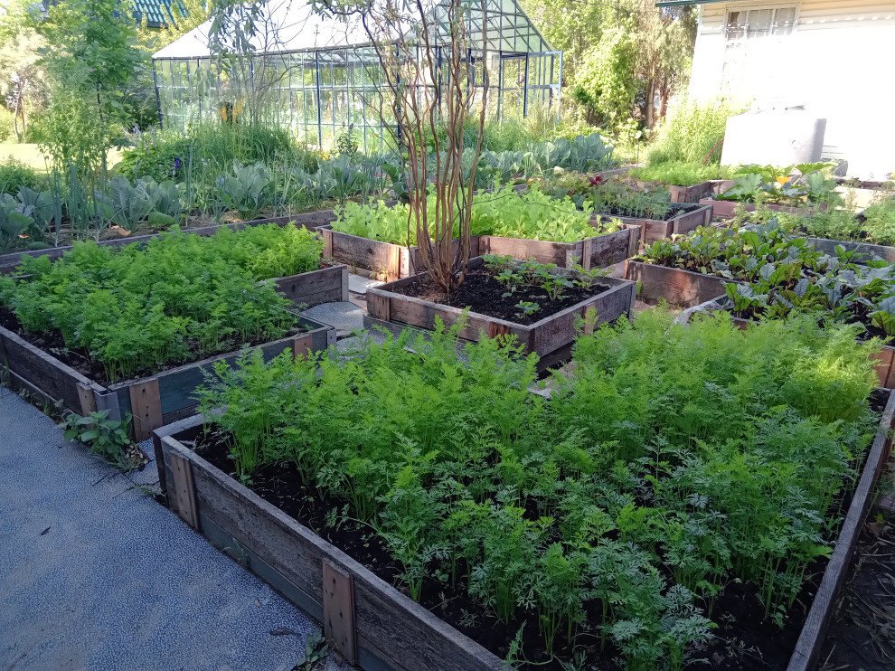 Декоративный огород