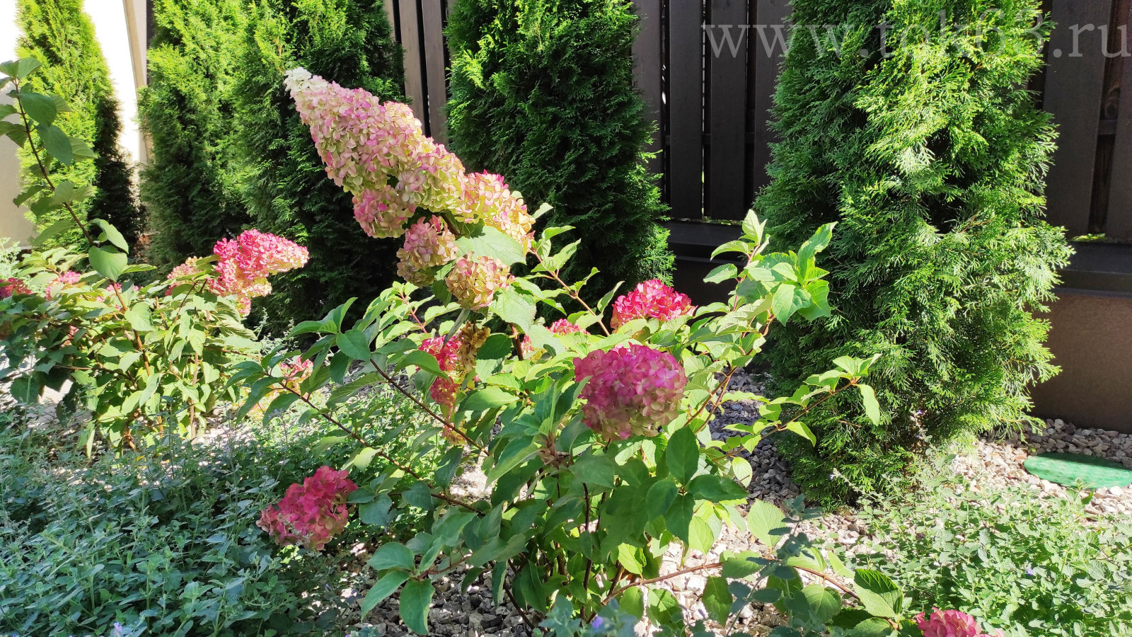 Объект 11 соток. Реализация 2020