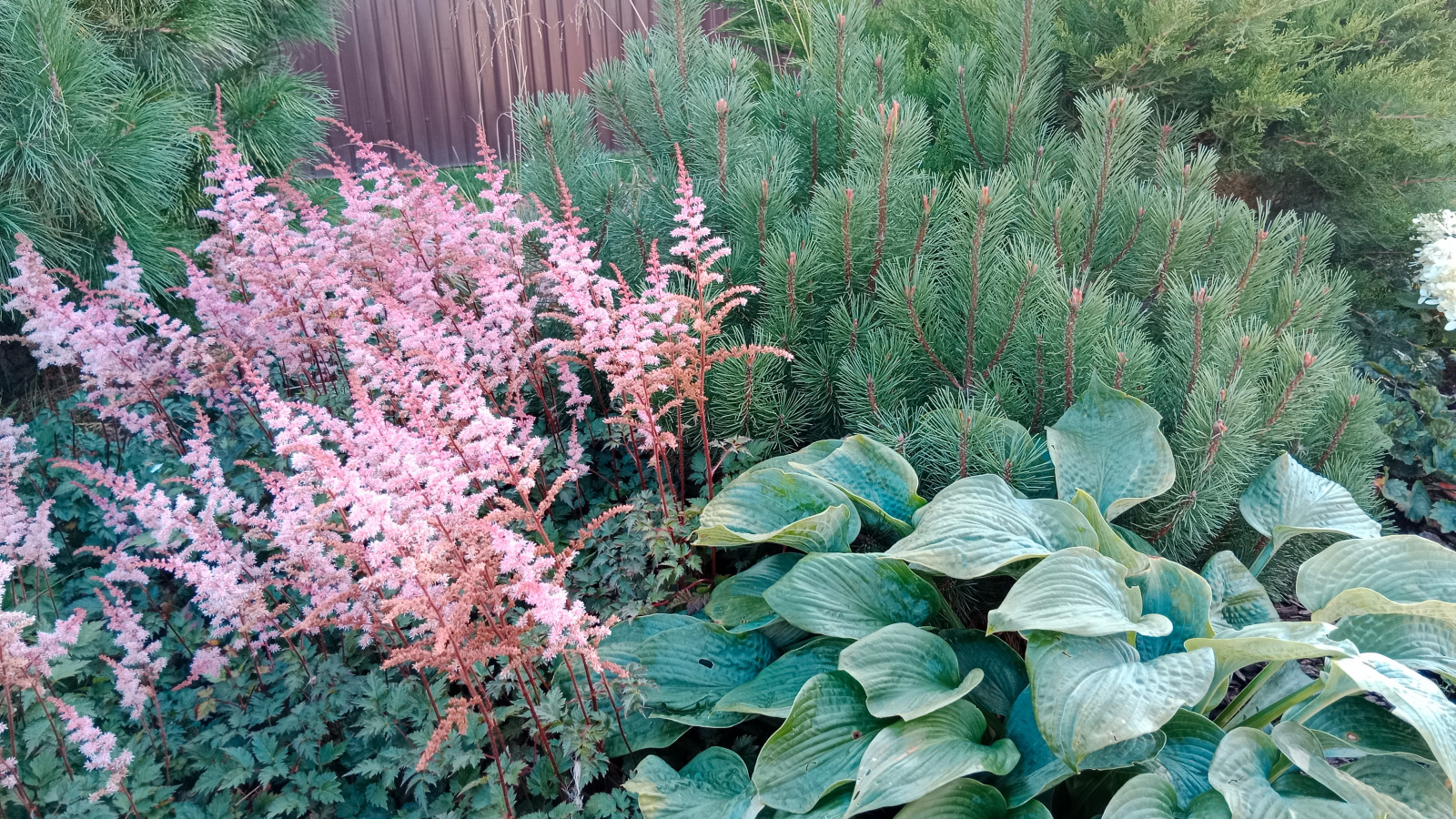 Серебрянный бор