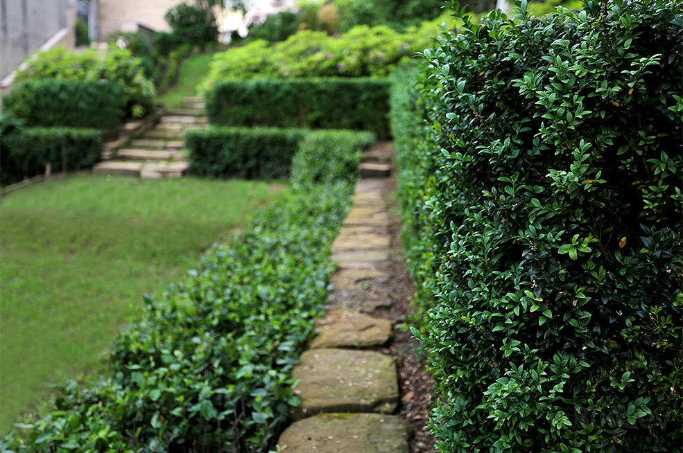 BUGAEV Parks & Gardens