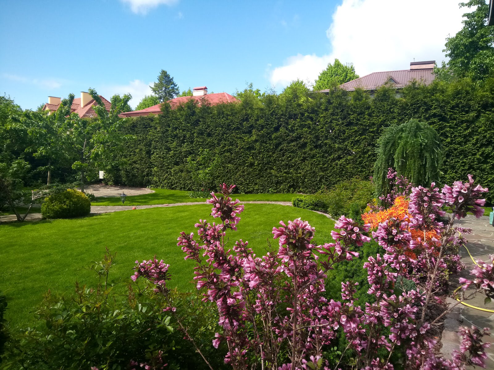 Уход за растениями