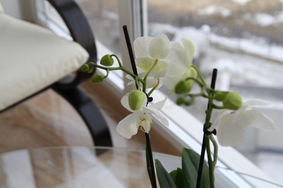 Реализованный проект "Квартира в полосатом доме на Академика Янгеля"