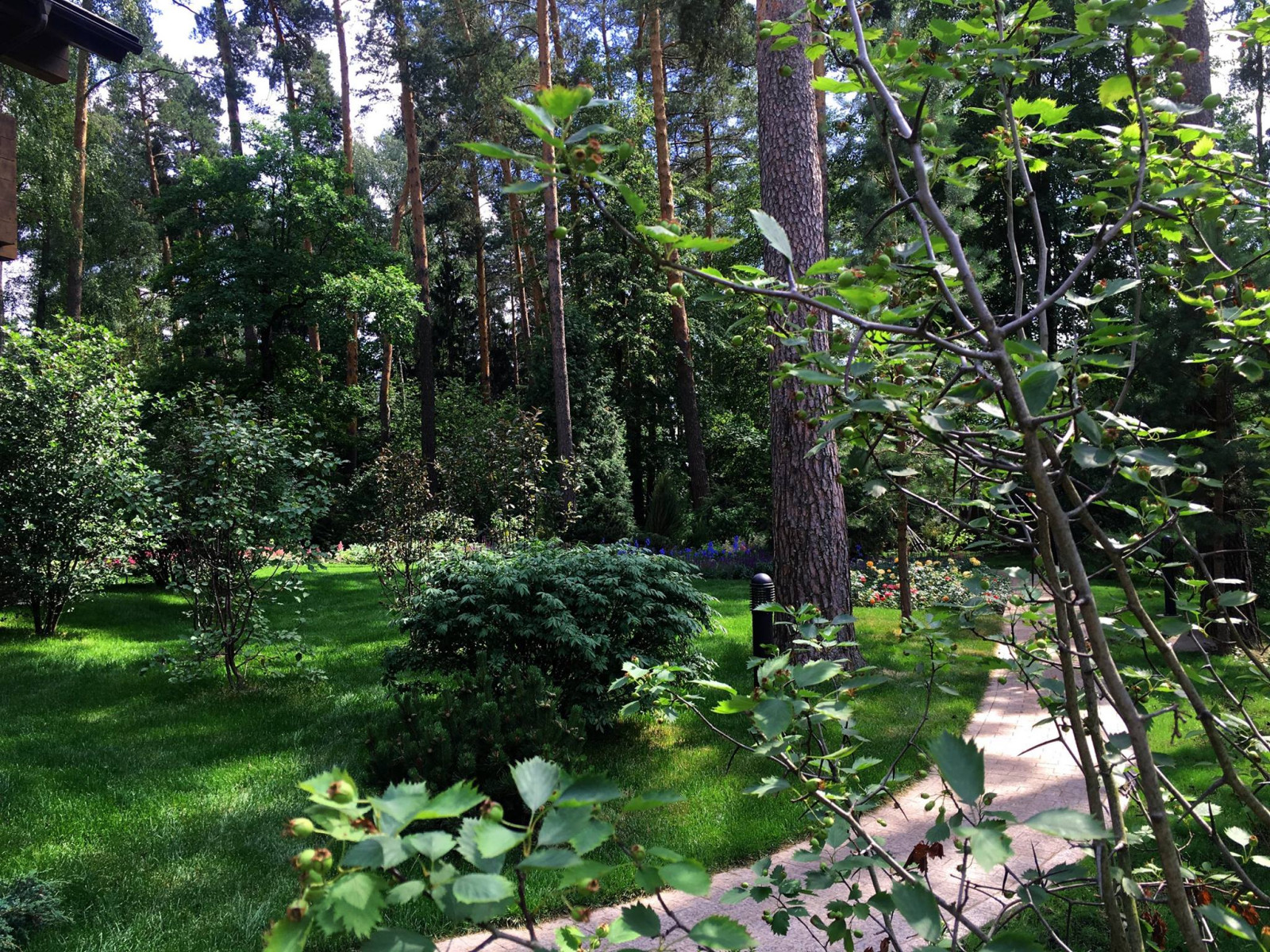 снегири