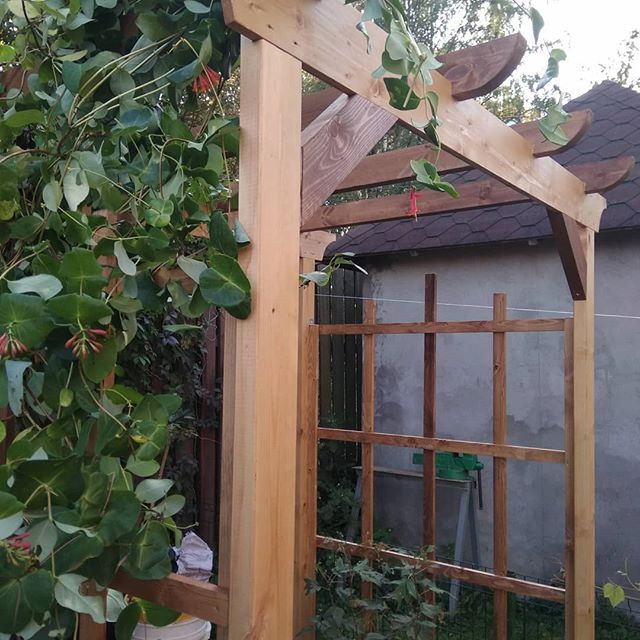 Обложка проекта: Пергола в японском стиле