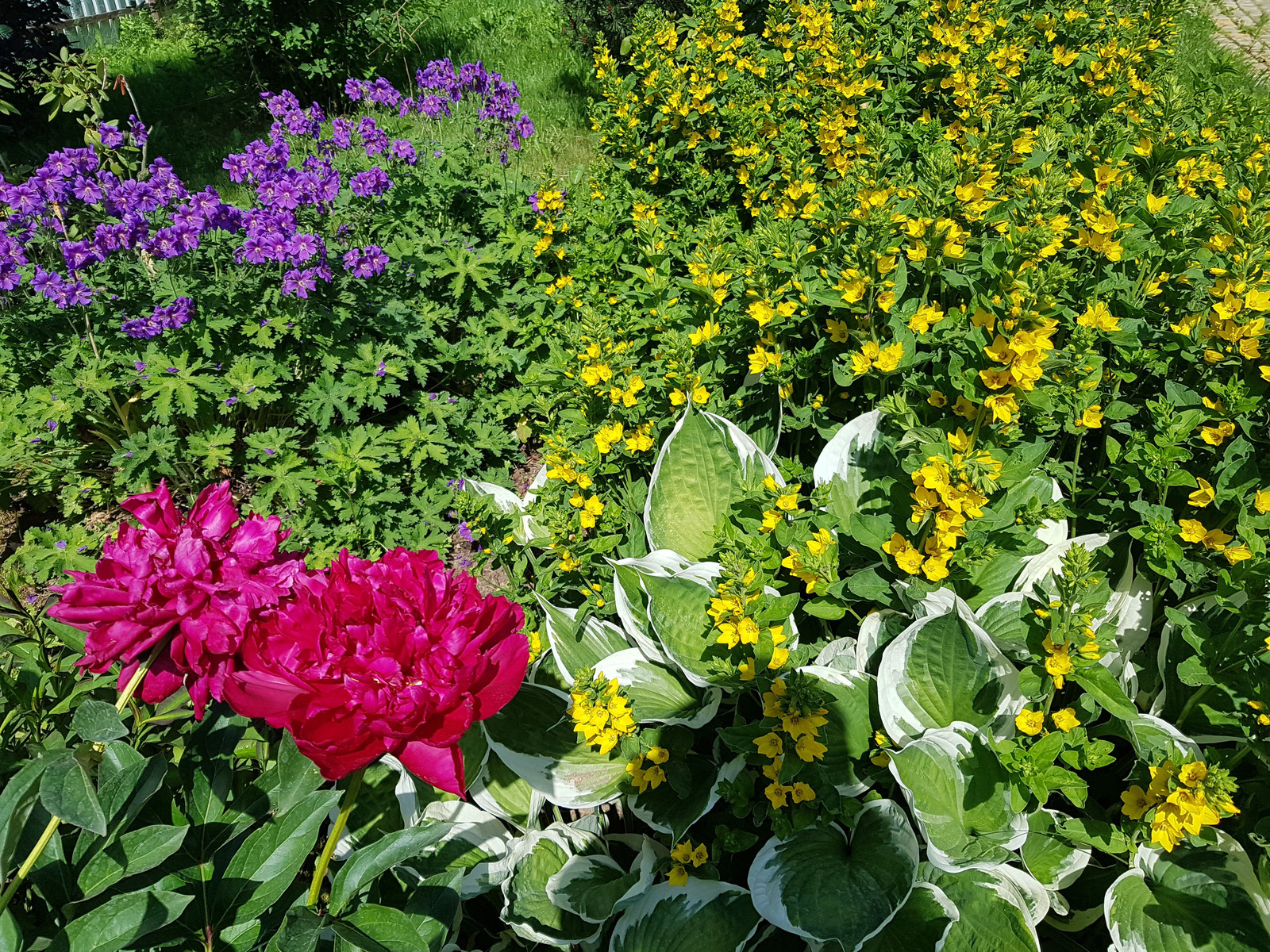 Косовка Калужское шоссе