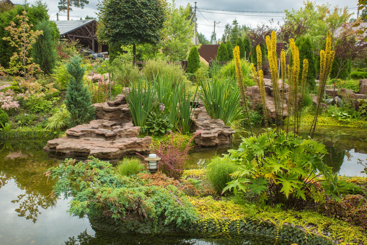 Светлана Беляева