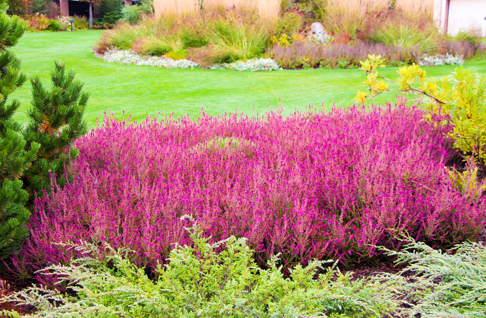 Горки-10, 2017-2020 г.г.