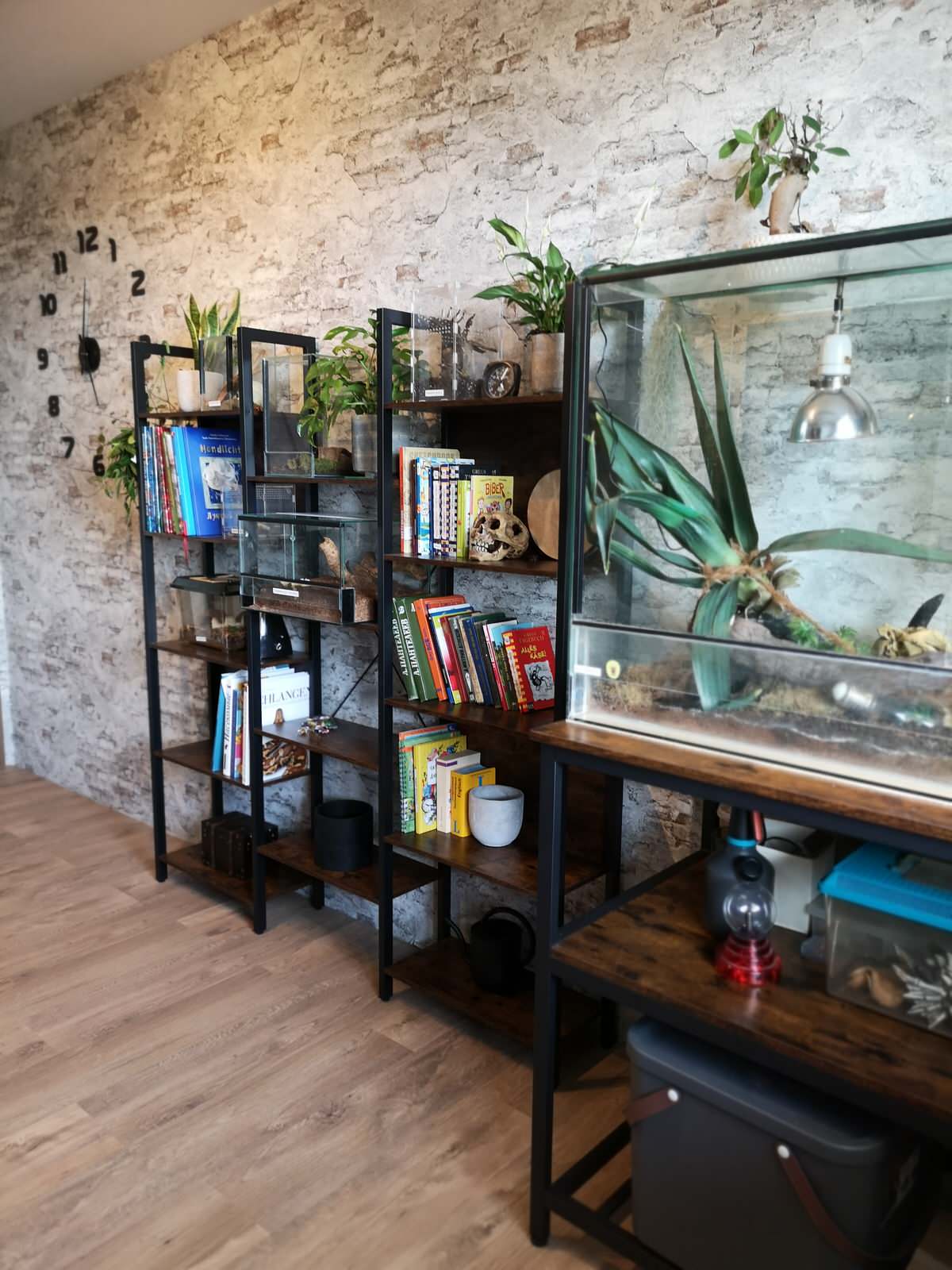 КОМНАТА ДЛЯ ПОДРОСТКА И ЕГО ПИТОМЦЕВ