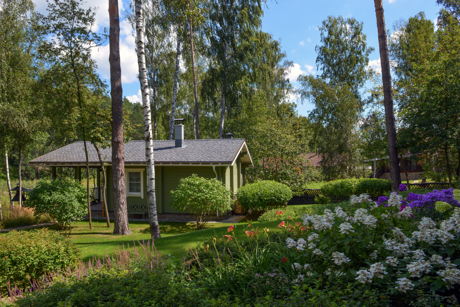 Проект "Волны".Пять лет спустя